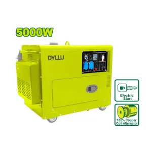 Անաղմուկ դիզելային գեներատոր DYLLU DTDG2A50 5000Վտ