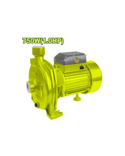 Ջրի պոմպ DYLLU DTWPCA03 750Վտ