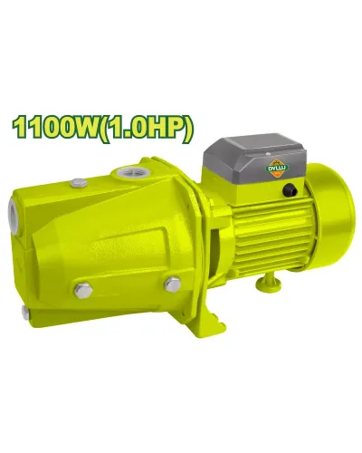 Ջրի պոմպ DYLLU DTWPJA04 1100Վտ