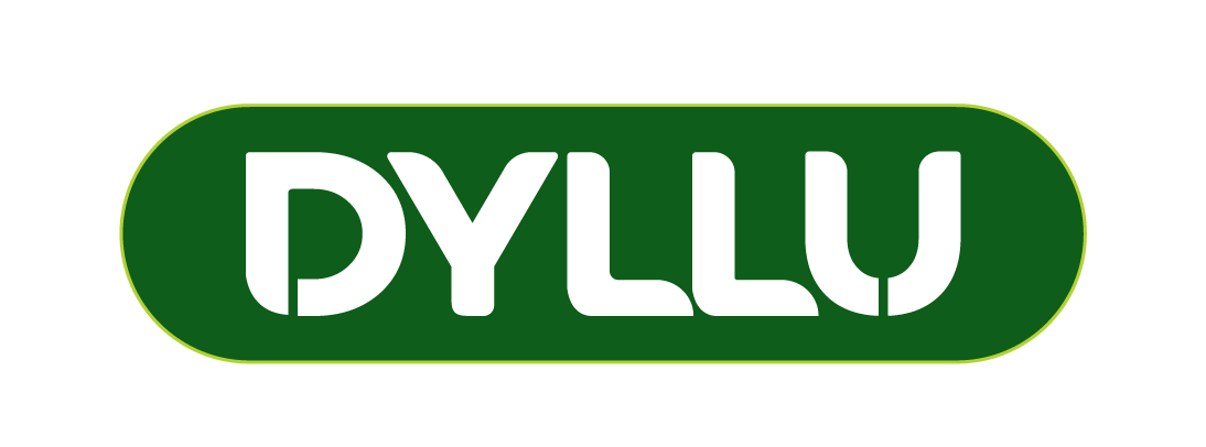 Dyllu tools Armenia